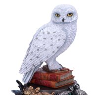 Harry Potter - Figur Hedwig