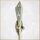 The Lord of the Rings – Staff of Gandalf the White Replica – United Cutlery UC1386