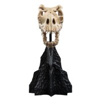 Weta Workshop Der Herr der Ringe - Mini Statue Skull of a...