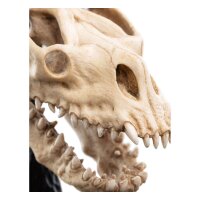 Weta Workshop Der Herr der Ringe - Mini Statue Skull of a Fell Beast