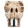 Weta Workshop Der Herr der Ringe - Mini Statue Skull of a Fell Beast