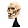 Weta Workshop Der Herr der Ringe - Mini Statue Skull of Lurtz