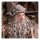 The Hobbit - Statue Radagast in Rhosgobel Diorama (Limited Edition) 1:6