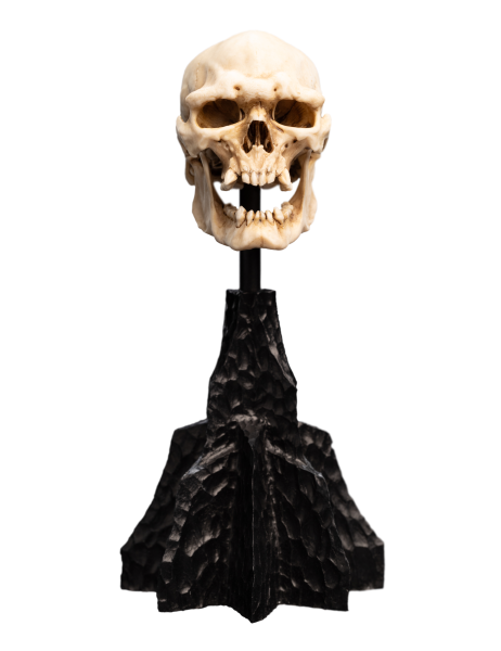Weta Workshop Der Herr der Ringe - Mini Statue Skull of a Mordor Orc