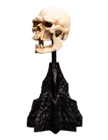 Weta Workshop Der Herr der Ringe - Mini Statue Skull of a Mordor Orc