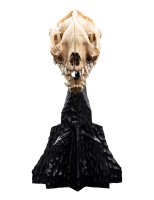 Weta Workshop Der Herr der Ringe - Mini Statue Skull of a...