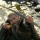 Weta Workshop Der Herr der Ringe - Mini Statue Legolas