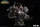 World of Warcraft - Varian Wrynn Büste 1:3