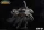 World of Warcraft - Varian Wrynn Büste 1:3