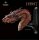 Weta Workshop Der Hobbit - Statue Smaug der Schreckliche "The Terrible" - Bust Edition Smaugs