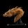 Weta Workshop Der Hobbit – Statue Smaug the Golden – Bust Limited Edition