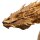 Weta Workshop Der Hobbit – Statue Smaug the Golden – Bust Limited Edition