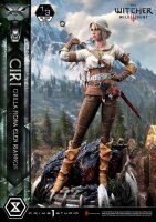 Prime 1 Studio Museum Masterline The Witcher 3: Wild Hunt...