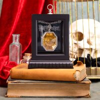 Harry Potter - Slytherins R.A.B. Locket